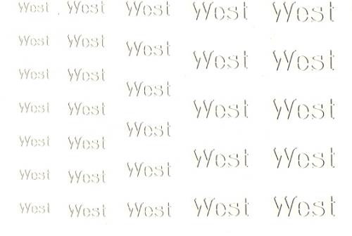 Hobby Slot decal West